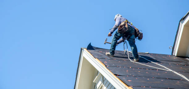 Best Roof Gutter Cleaning  in White Plains, NC